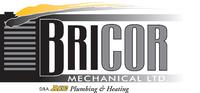 New 2010 Bricor-logo.jpg.opt860x399o0,0s860x399.jpg